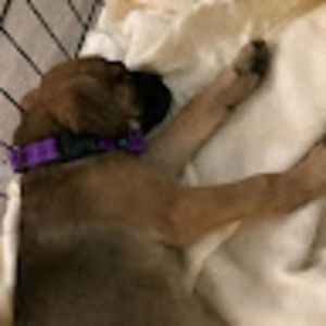 Meet your Posher, Anna